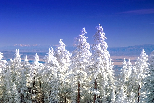 Albuquerque Short Sale Real Estate Agent Rio Rancho Short Sale