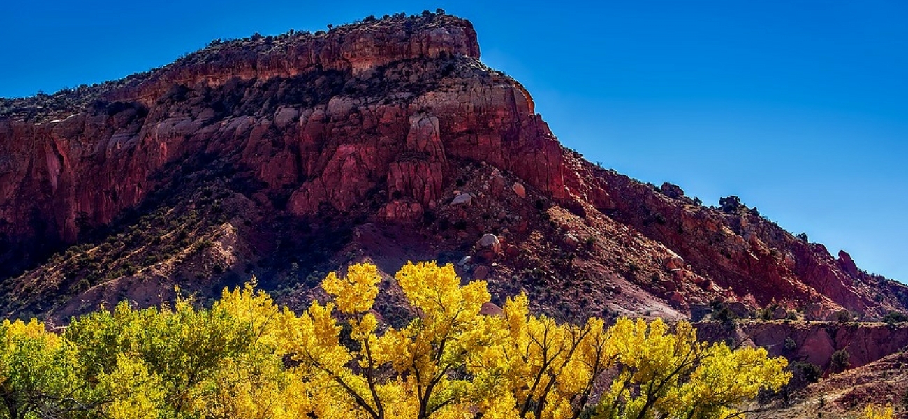 2024 Fun Fall Activities For Your Family In Albuquerque NM