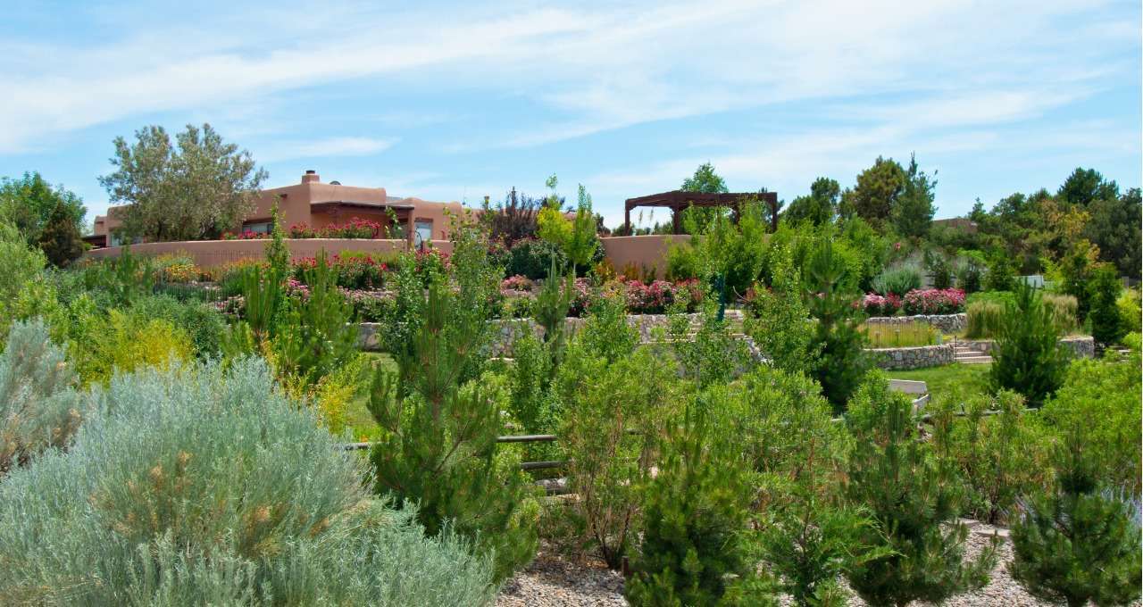 Summer Landscaping & Gardening