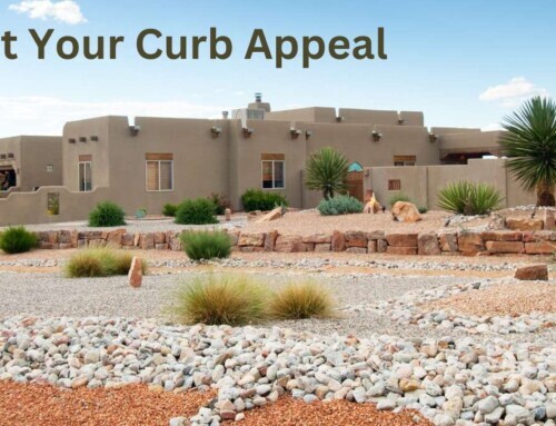 Maximize Your Home’s Curb Appeal | Albuquerque Home Sellers