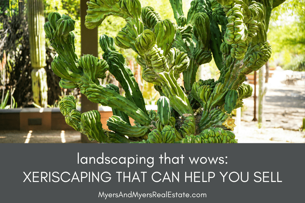 Landscaping That Wows: Xeriscaping Trends That Could Help You Sell Your Home in ABQ