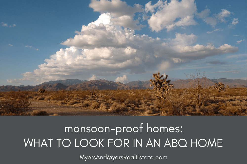 Monsoon-Proof Homes: What to Look for in an Albuquerque House