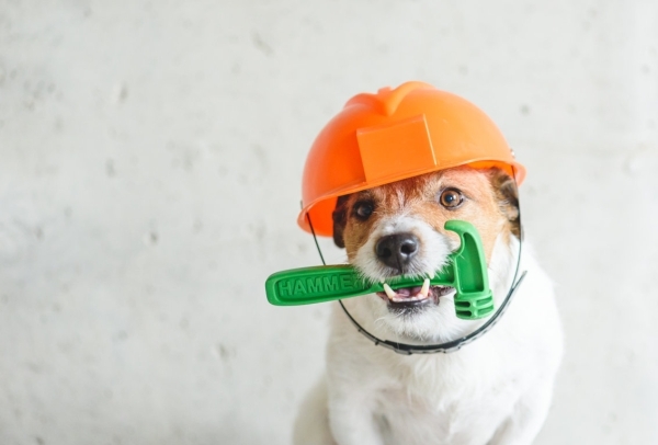 Albuquerque NM Real Estate & Homes For Sale Logo