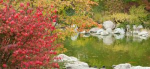 See fall foliage at Albuquerques BioPark