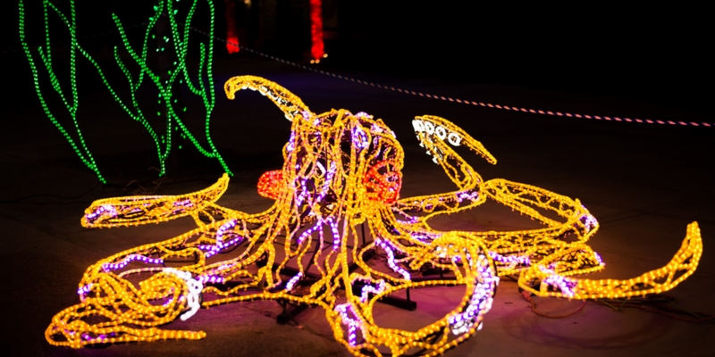 River of Lights is a holiday favorite in Albuquerque