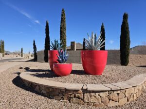 Metal Agave Plants Cabezon Real Estate & Homes For Sale