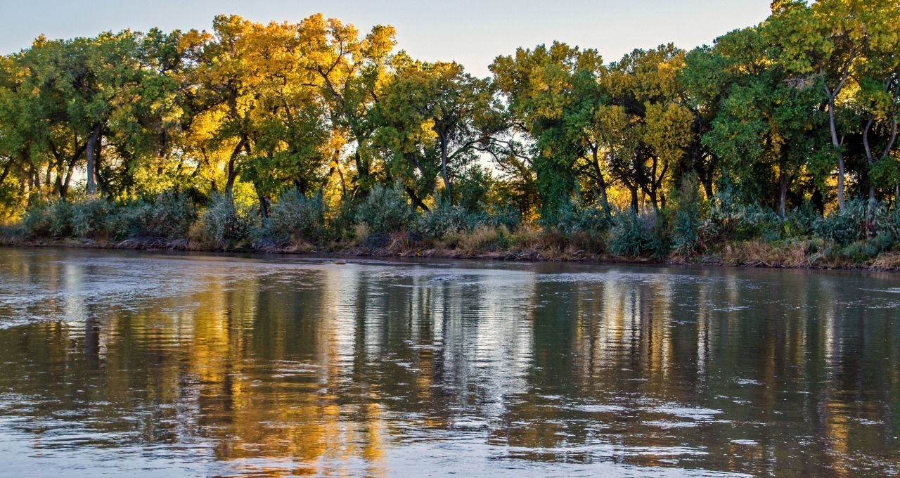 Rio Grande River Near Del Webb Alegria Real Estate Homes For Sale Bernalillo NM