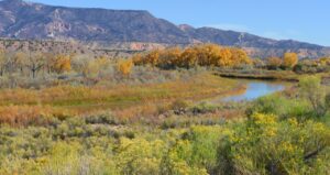 Rio Grande River - West River Valley Albuquerque NM Real Estate Homes For Sale