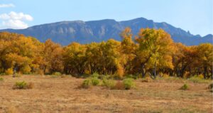 Homes For Sale in Bernalillo NM