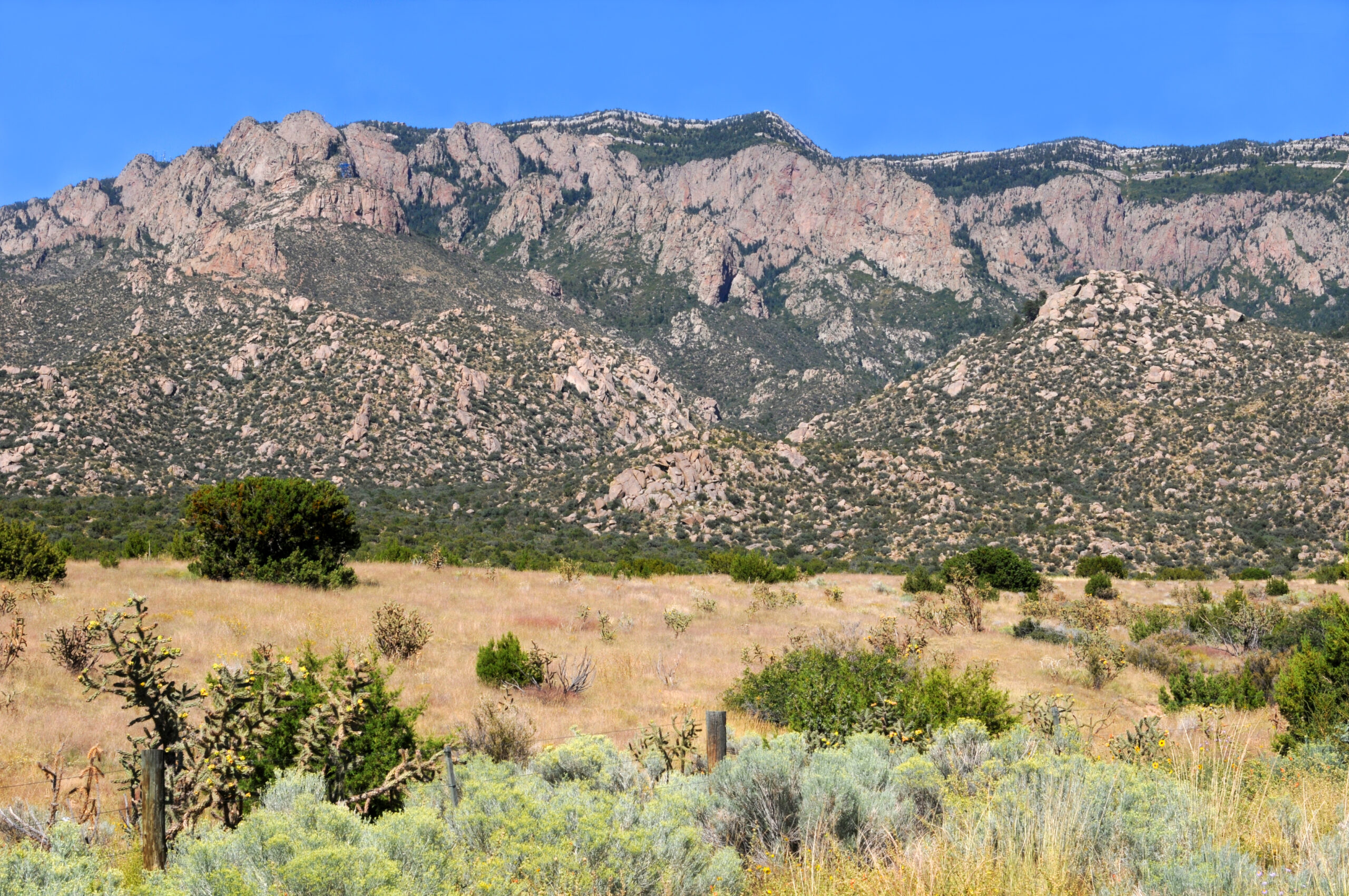 Best Hiking Trails In Albuquerque New Mexico