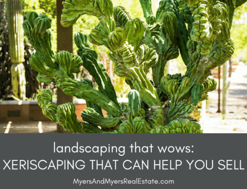 Landscaping That Wows: Xeriscaping Trends That Could Help You Sell Your Home in ABQ